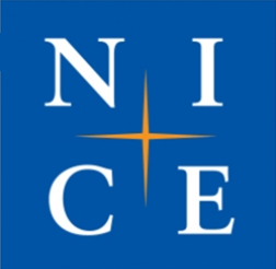 NICE �����ý���